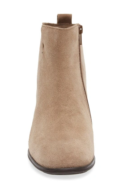 Shop Naot Ethic Bootie In Almond Suede