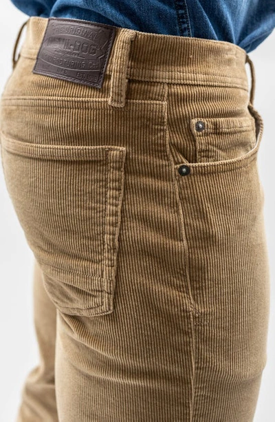 Devil-dog Dungarees Stretch Corduroy Five Pocket Pants In Khaki