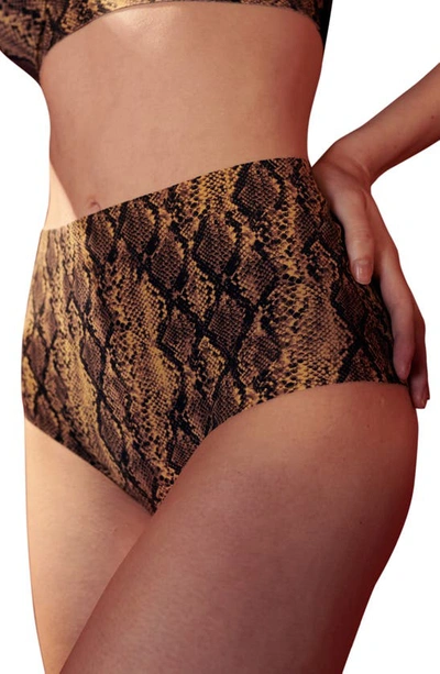 Shop Eby Assorted 3-pack High Waist Panties In Python/ Black
