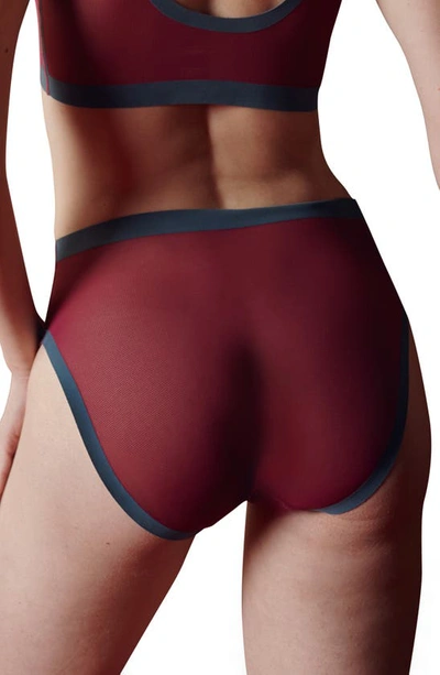 Shop Eby 2-pack Sheer High Waist Panties In Taupe/ Cabernet
