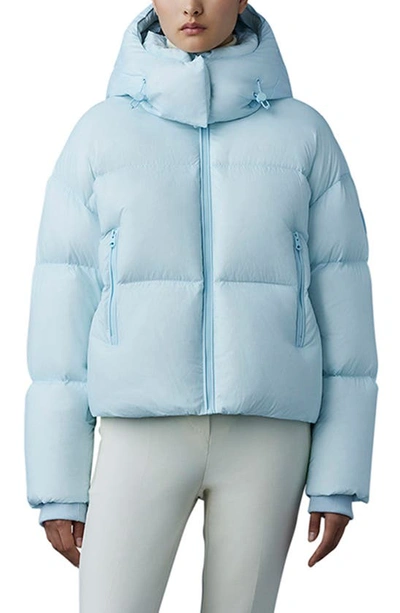 Shop Mackage Tessy Quilted Puffer Jacket In Air