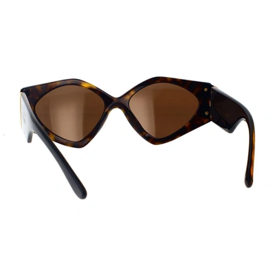 Shop Dolce & Gabbana Eyewear Sunglasses In Havana