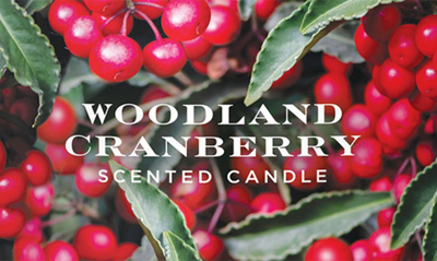 Shop Homeworx By Slatkin & Co. Woodland Cranberry 4-wick Scented Jar Candle