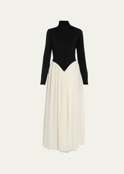 Shop Chloé Turtleneck Long-sleeve V-waist Gauze Fit-&-flare Gown In Black - White 1