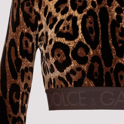 Shop Dolce & Gabbana Cotton Crop Top Tops In Brown