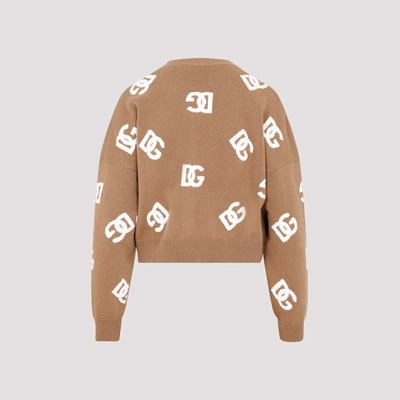 Shop Dolce & Gabbana Logo Sweater In Nude &amp; Neutrals