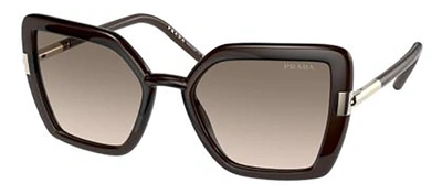 Shop Prada Pr 09ws 05m3d0 Butterfly Sunglasses In Brown