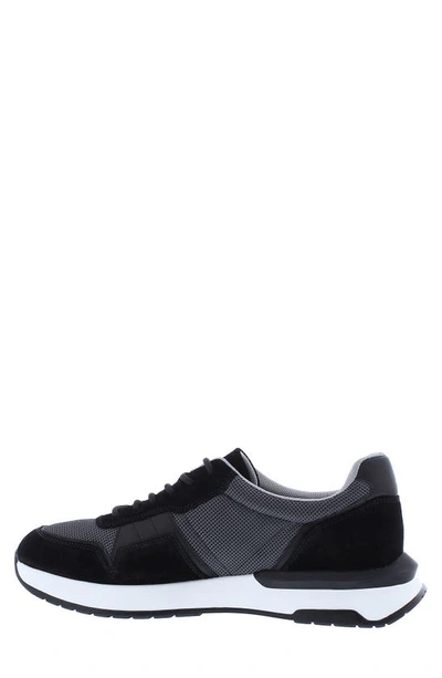 Shop Zanzara Bimini Sneaker In Black