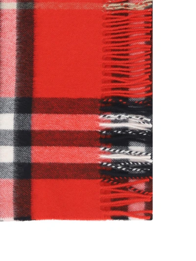 Shop Burberry Scarves In Red