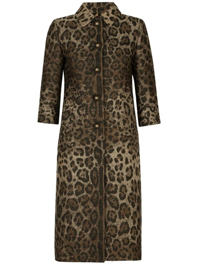 Shop Dolce & Gabbana Leopard Print Wool Chemisier Dress In Brown
