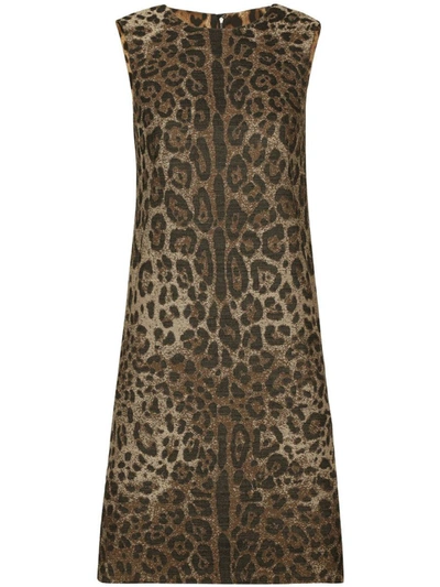 Shop Dolce & Gabbana Leopard Print Wool Mini Dress In Brown