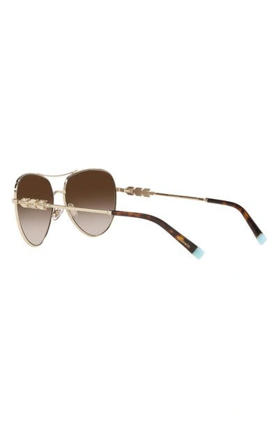 Shop Tiffany & Co 59mm Aviator Sunglasses In Pale Gold