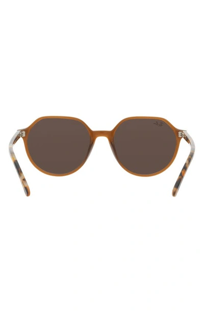 Shop Ray Ban Thalia 51mm Square Sunglasses In Transparent