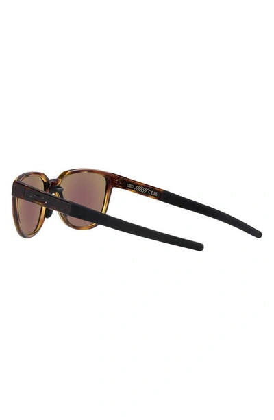 Oakley Actuator 57mm Polarized Rectangular Sunglasses In Tortoise