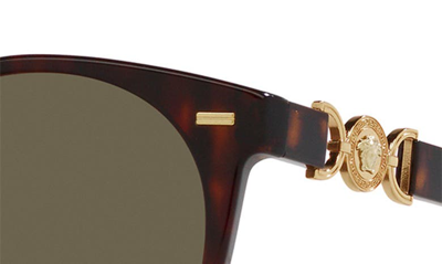 Shop Versace 55mm Round Sunglasses In Havana