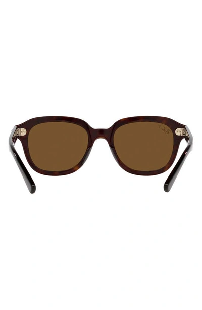 Ray Ban Erik 53mm Polarized Square Sunglasses In Havana
