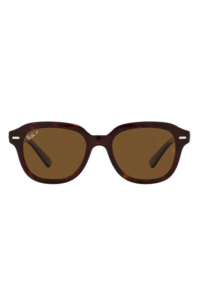 Ray Ban Erik 51mm Polarized Square Sunglasses In Havana