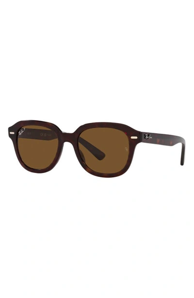 Ray Ban Erik 51mm Polarized Square Sunglasses In Havana