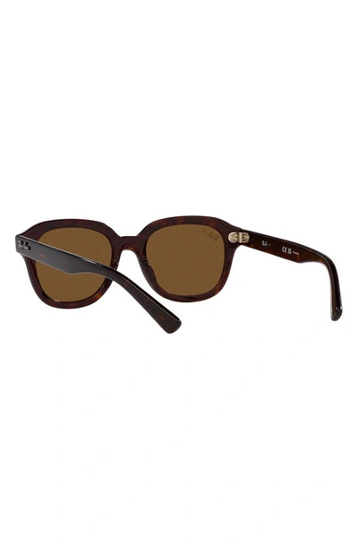 Ray Ban Erik 51mm Polarized Square Sunglasses In Havana
