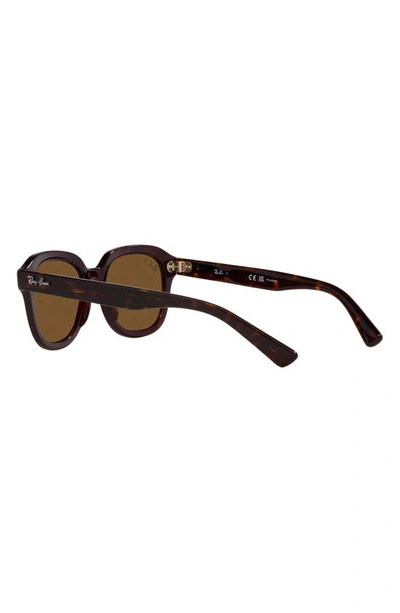 Ray Ban Erik 51mm Polarized Square Sunglasses In Havana