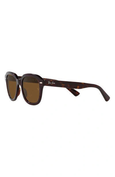 Ray Ban Erik 51mm Polarized Square Sunglasses In Havana