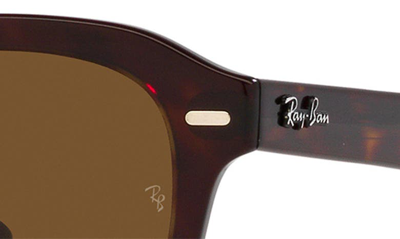 Ray Ban Erik 51mm Polarized Square Sunglasses In Havana