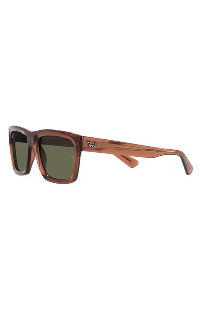 Ray Ban Warren 57mm Polarized Rectangular Sunglasses In Brown Transparent