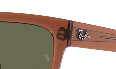 Ray Ban Warren 57mm Polarized Rectangular Sunglasses In Brown Transparent