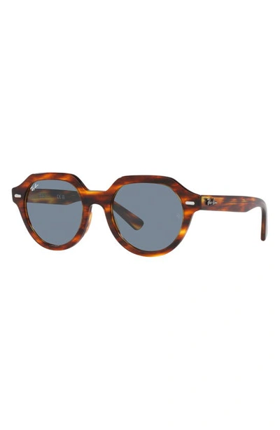 Ray Ban Ray-ban Gina 51mm Square Sunglasses In Striped Havana
