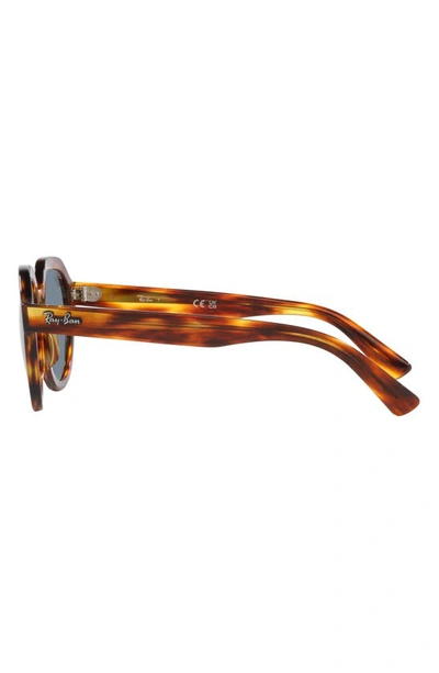 Ray Ban Ray-ban Gina 51mm Square Sunglasses In Striped Havana