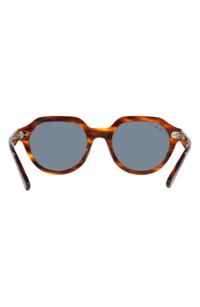 Ray Ban Ray-ban Gina 51mm Square Sunglasses In Striped Havana