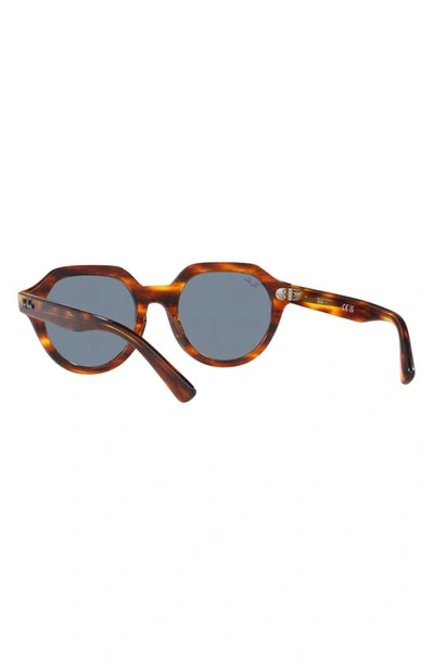 Ray Ban Ray-ban Gina 51mm Square Sunglasses In Striped Havana