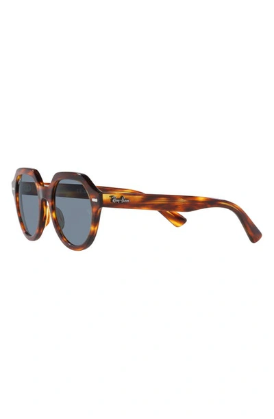 Ray Ban Ray-ban Gina 51mm Square Sunglasses In Striped Havana