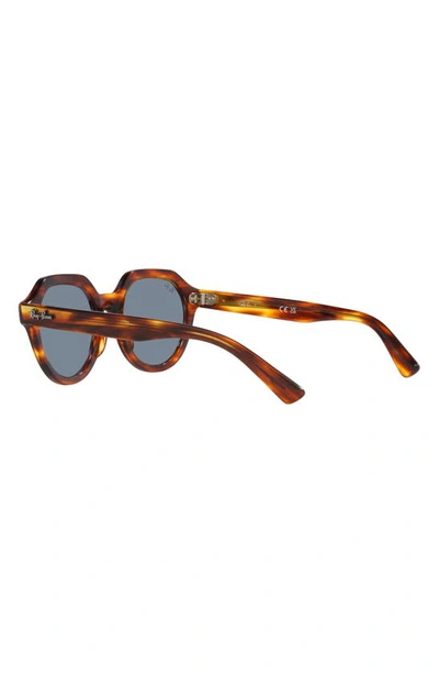 Ray Ban Ray-ban Gina 51mm Square Sunglasses In Striped Havana