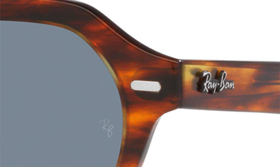 Ray Ban Ray-ban Gina 51mm Square Sunglasses In Striped Havana