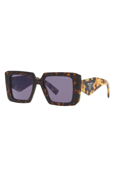 Prada 51mm Tortoise Square Sunglasses In Tortoise