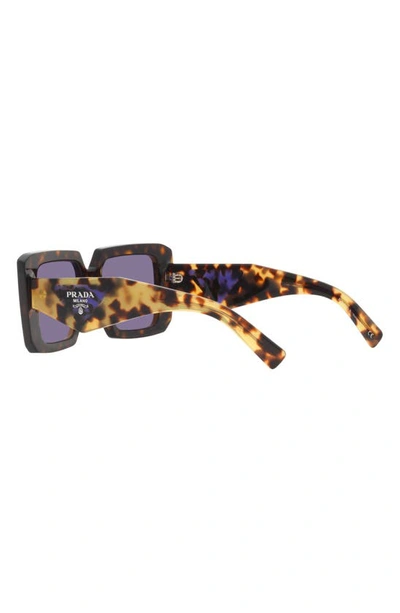 Prada 51mm Tortoise Square Sunglasses In Tortoise