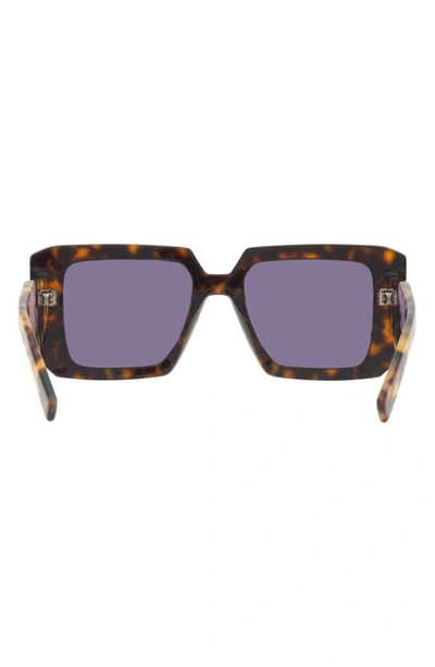 Prada 51mm Tortoise Square Sunglasses In Tortoise