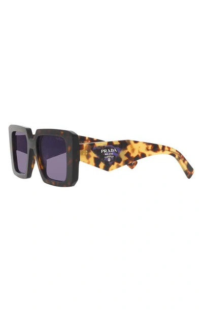 Prada 51mm Tortoise Square Sunglasses In Tortoise