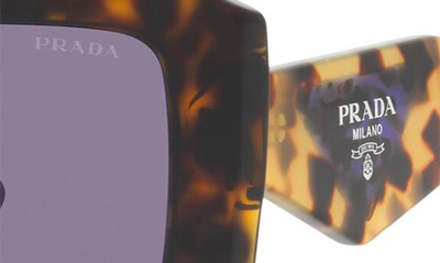 Prada 51mm Tortoise Square Sunglasses In Tortoise
