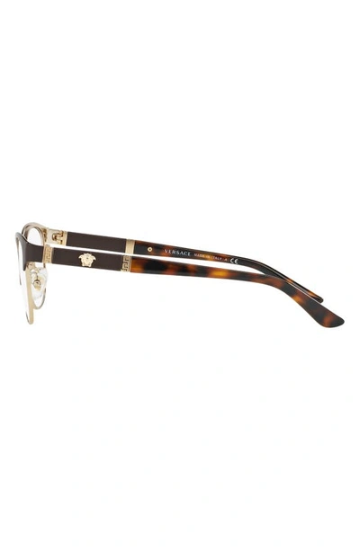 Shop Versace 53mm Cat Eye Optical Glasses In Brown Gold