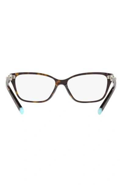 Shop Tiffany & Co 55mm Rectangular Optical Glasses In Havana