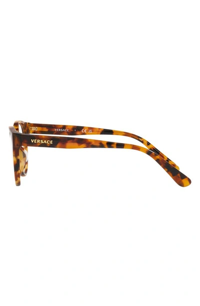 Shop Versace 48mm Phantos Optical Glasses In Havana