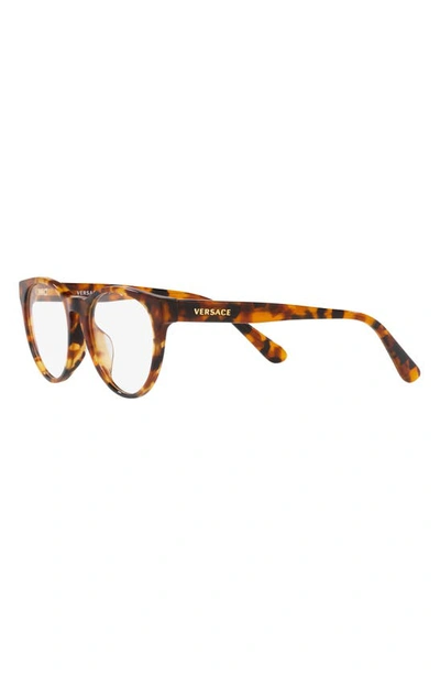 Shop Versace 48mm Phantos Optical Glasses In Havana