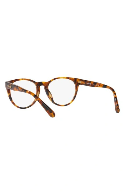 Shop Versace 48mm Phantos Optical Glasses In Havana