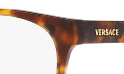 Shop Versace 48mm Phantos Optical Glasses In Havana