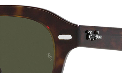 Ray Ban Erik 51mm Square Sunglasses In Havana