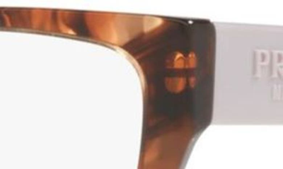 Prada 54mm Rectangular Optical Glasses In Brown Tort