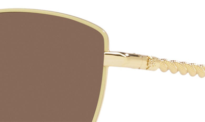 Shop Tory Burch 56mm Cat Eye Sunglasses In Milky Ivory