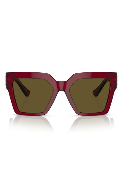 Shop Versace 55mm Butterfly Sunglasses In Bordeaux